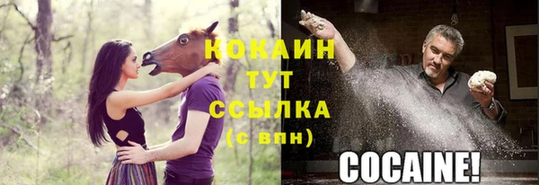 jwh Осинники