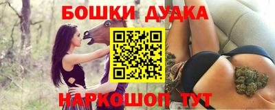индика Рузаевка