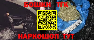 индика Рузаевка