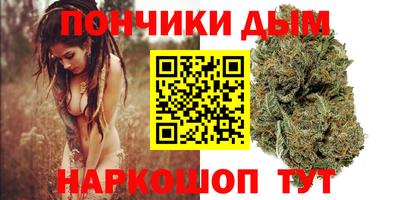 индика Рузаевка