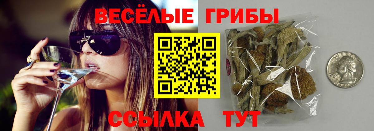 Галлюциногенные грибы прущие грибы  купить   Фролово  Вход с VPN 