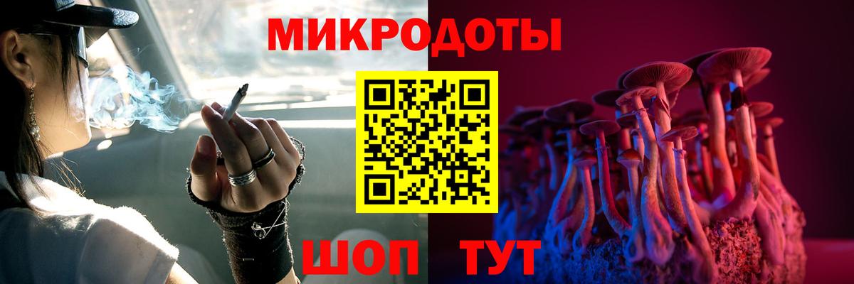 Псилоцибиновые грибы Psilocybe Фролово